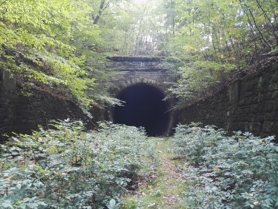 Severní portál tunelu, zářez opuštěné tratě pomalu zarůstá vegetací, foto Jan Juřena, 2017.