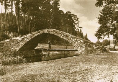 Most s vysázenou vzrostlou alejí, pohled z levého břehu, 50. léta, archiv autorky.